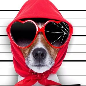 Meet your Posher, Leanna